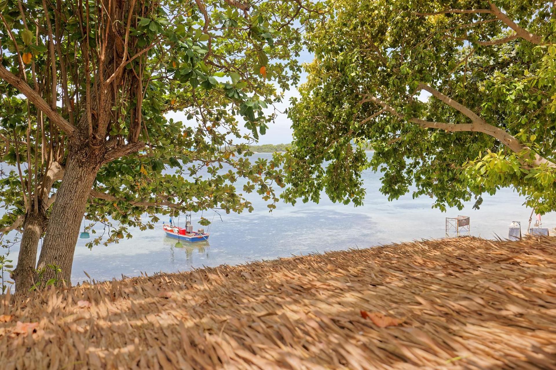 Blue Turtle Hotel Samui Παραλία Σαγουένγκ Δωμάτιο φωτογραφία