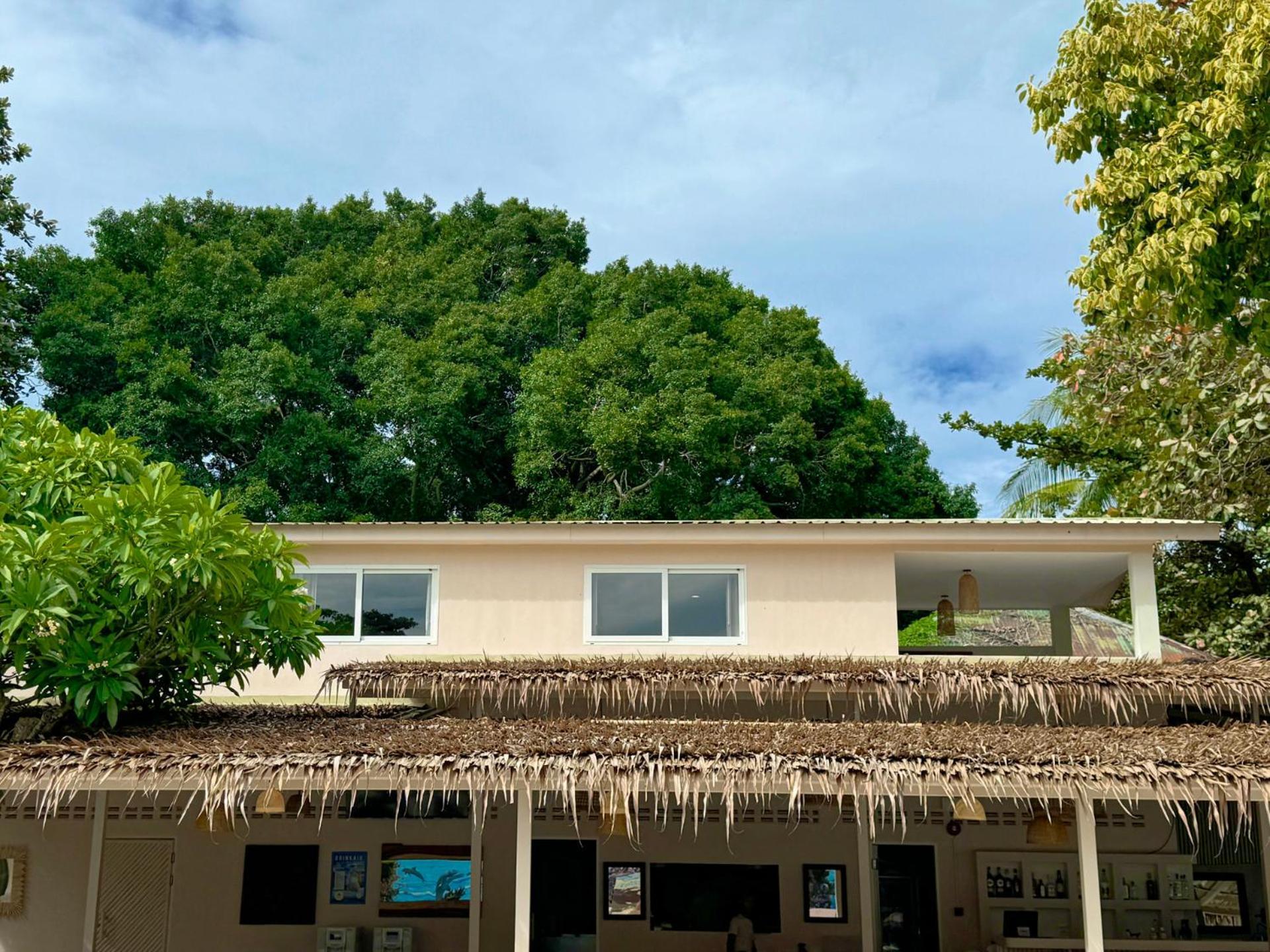 Blue Turtle Hotel Samui Παραλία Σαγουένγκ Δωμάτιο φωτογραφία
